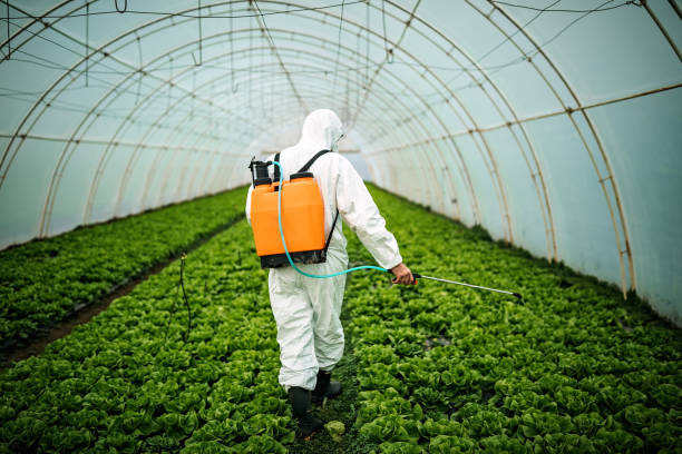 Best Residential Pest Control  in Windsor, IL