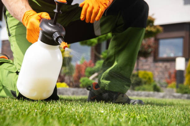 Best Emergency Pest Control  in Windsor, IL