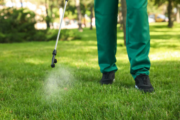 Best Affordable Exterminators  in Windsor, IL