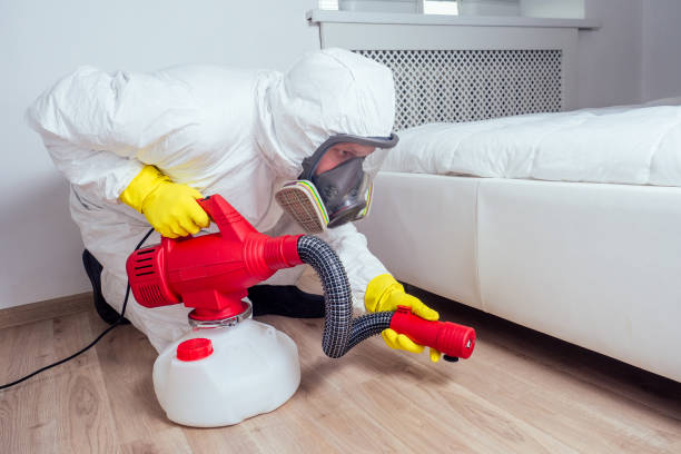 Insect Control in Windsor, IL